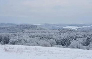Ferienwohnung Breuer - Foto 22