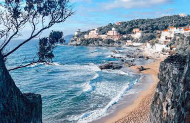 Casa nel verde a 300 mt dal mare a Castiglioncello - Foto 53