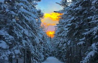 The Craftsman Farmhouse with Modern Flair - Photo 39