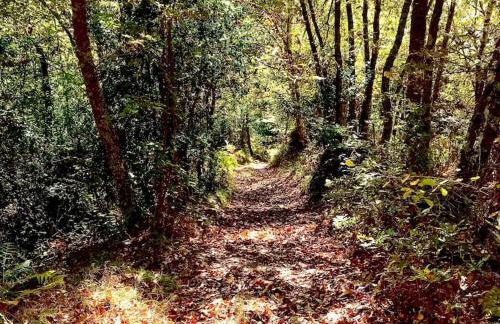 L'Aldeaperdida - Foto 15