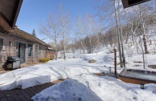 Private Hot Tub, Theater Room, Valet Parking and Ski & Boot Storage at Ritz Carlton - Foto 60