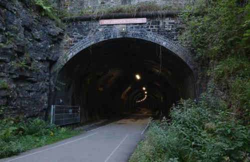 The Lodge - Photo 37