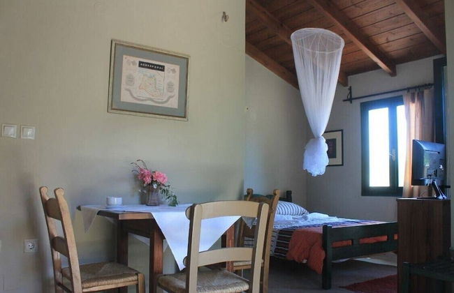 Vamos Fabrica Farm - Foto 4