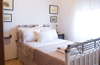 Olive Roots - Foto 50