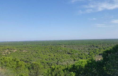 playa y naturaleza - Foto 25