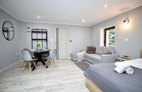 Przycup w Karkonoszach Apartamenty APARTAMENTY W OKOLICY KARPACZA 7 MINUT OD KARPACZA Marczyce SosnówkaKarkonosze, Karpacz, Szklarska Poręba- Sauna Fińska - Foto 64