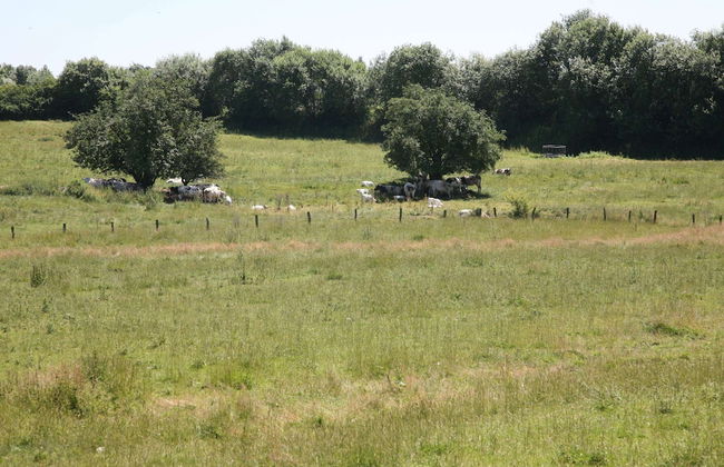 Cozy Cottage in Bastogne - Foto 39