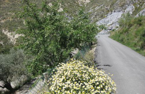 Bancal de Los Pérez - Foto 48