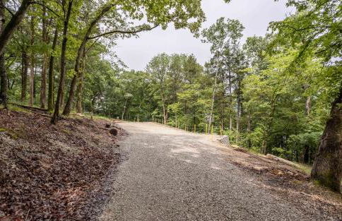 Table Rock Lake Cabin - Lake-Pool-Hot Tub - Foto 30