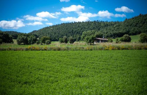 Poderaccio Agri Relais Apartments & Restaurant - Foto 51