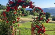 Agriturismo Il Truffarello TODI - Photo 6