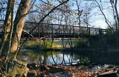 *NEW* Charm on Church ~ Cozy, Modern, Downtown Apt - Foto 50