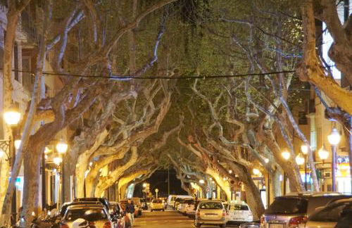 Apartamento en Urbanizacion El Retiro III - Foto 34