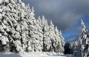 Villa Parkblick Wohnung 2 - Foto 17