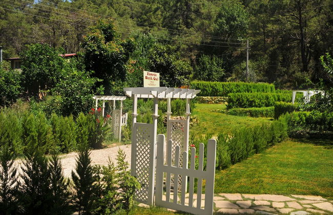 Zumrut Cirali Butik Otel - Foto 2