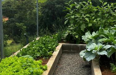 Chácara das Araras - Foto 54