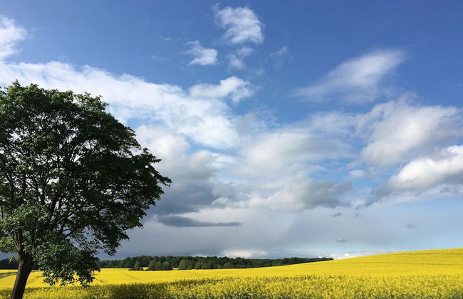Ferienhaus in Neu Poserin for 5 Personen - Foto 27
