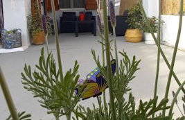 Elizas house - Foto 34