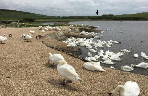 No 3, apartment in the heart of Bridport, Dorset - Photo 36