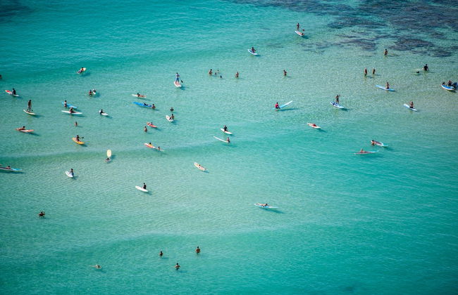 Hawaiian Monarch 916 Condo by RedAwning - Foto 18