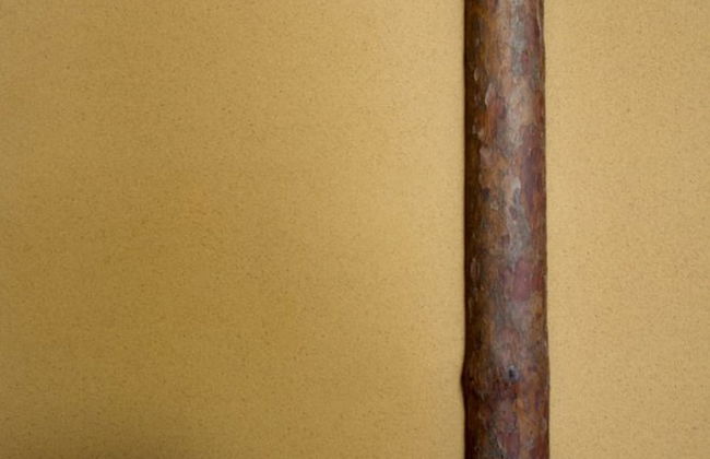 SUKIYA-zukuri Suehiro House - Photo 10