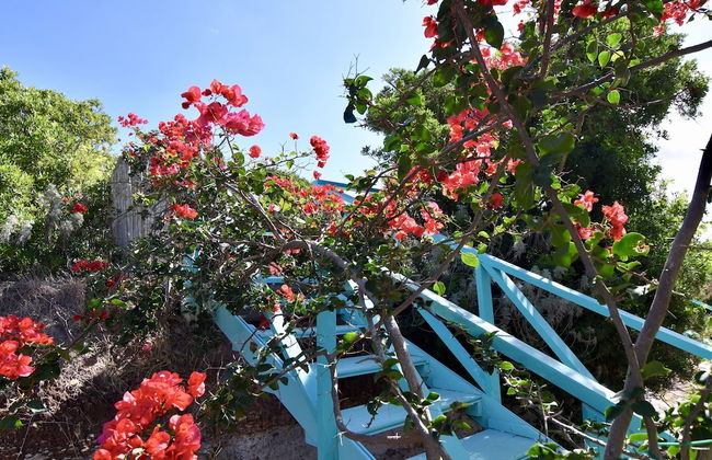 Charming Mediterranean House Surrounded by a Natural Oasis - Photo 11