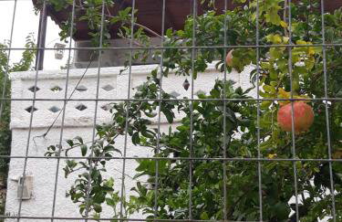 Kerry's Evia Island House - Foto 13