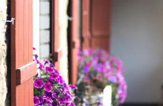 Ferienwohnung Vogelschar Urlaub auf dem Lebenshof - Foto 1