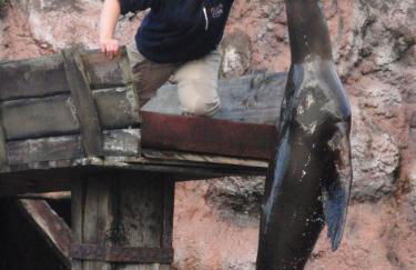 Casa para vacaciones junto al Parque de la Naturaleza de Cabarceno - Foto 11