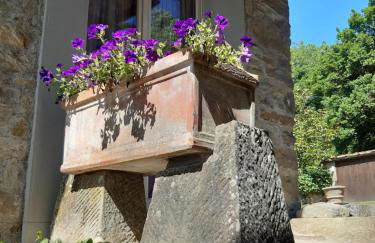 Country Residence Turicchi - Foto 11