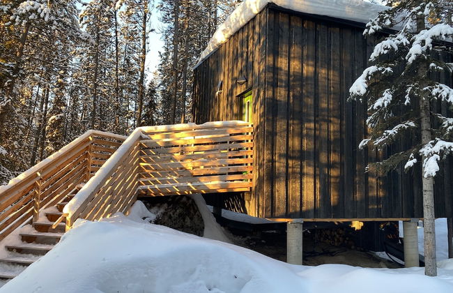 Yukon Black Spruce - Foto 3