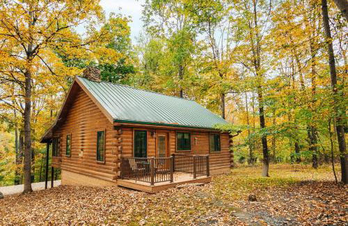 Ferngully Creek Cabins - Foto 24