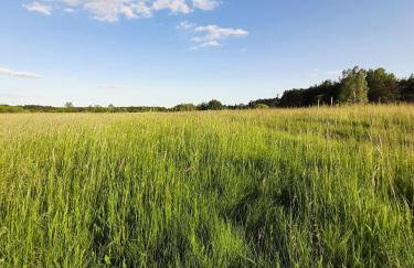 Woodland - dom z sauną i balią - Foto 32