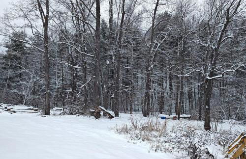 Unique Yet Cozy Victorian Home in Tioga County PA - Foto 26