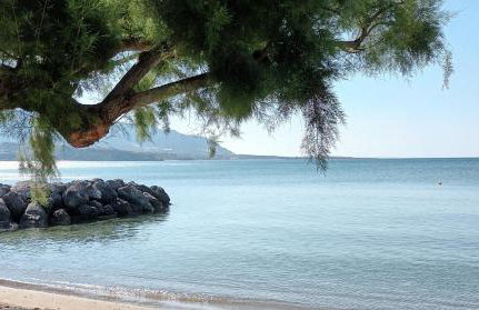 Light Blue - Foto 31