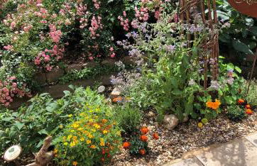 Gartenblick - Foto 20