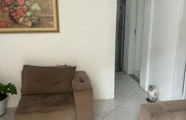 100m Osmar circuito av 7 next to two malls - Photo 5