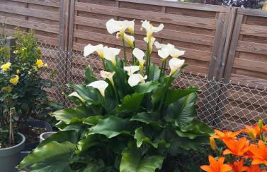 Nice apartment 1 hour from Paris and 45 minutes from Orléans - Photo 48