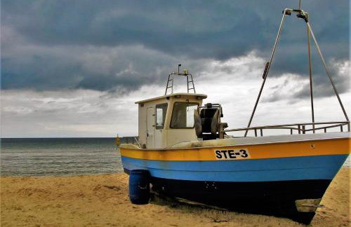 STEGNA House- Domek letniskowy - Photo 37