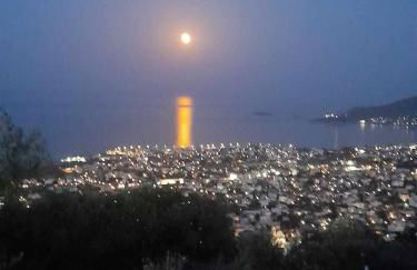 Seabreeze Home - Foto 31