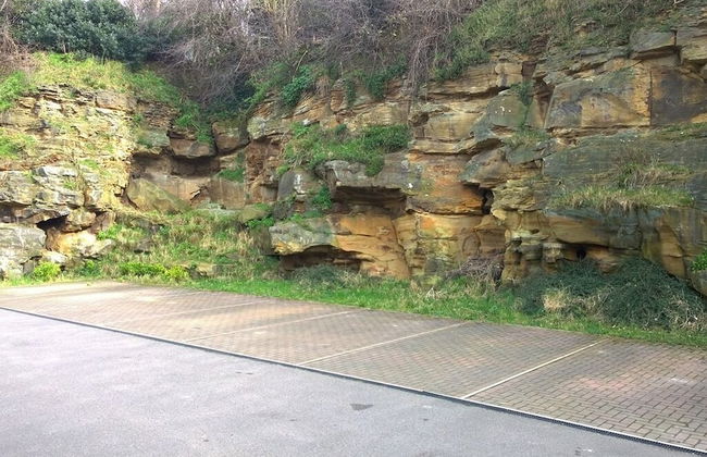 Your Travel Stop Craggside - Photo 40