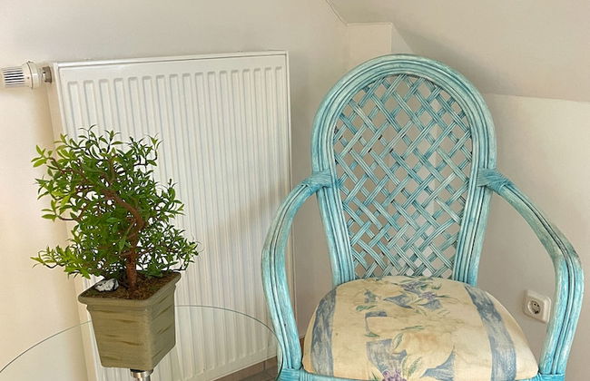 Ferienhof Schulz - Foto 37