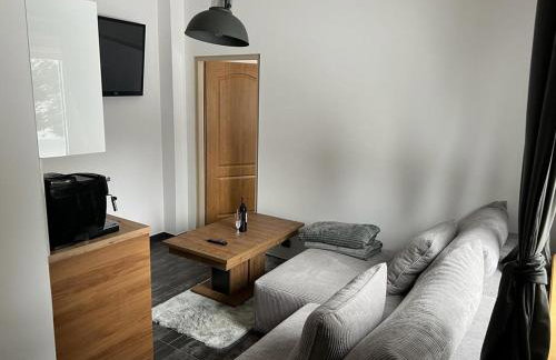 Apartamenty Slowianka - Foto 17