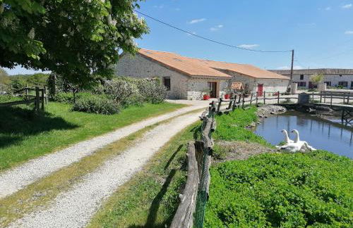 Gite Le marronnier - Parthenay - 10 personnes - Gite à la campagne à 3 kms du centre-ville - Foto 14