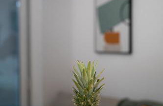 Bluetique Seaside Suites - Foto 15