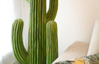 Fresh&Relax - Foto 23