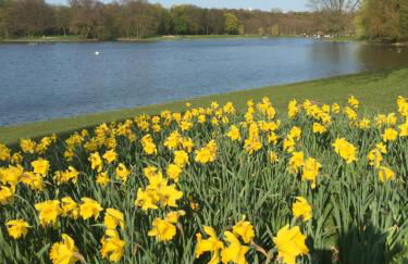 Mein Appartement Hürth Köln - Foto 60
