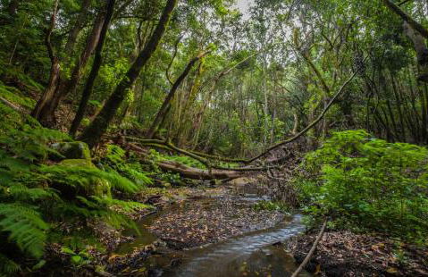 Apartamentos Charco del Conde - Foto 44