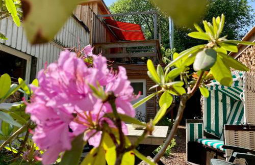 Beim Hufschmied - Foto 19