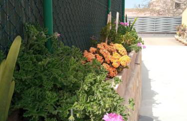 La Palmera Casa Rural - Foto 33